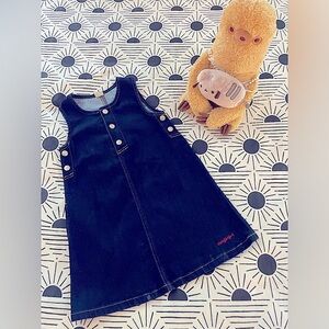 Adorable Girl’s Indigo Denim A-line Minidress (Sz 5/6)